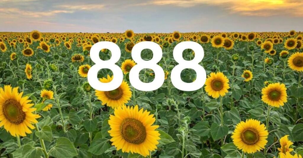 How to Unlock the Power and Abundance of 888 Angel Number in Your Life