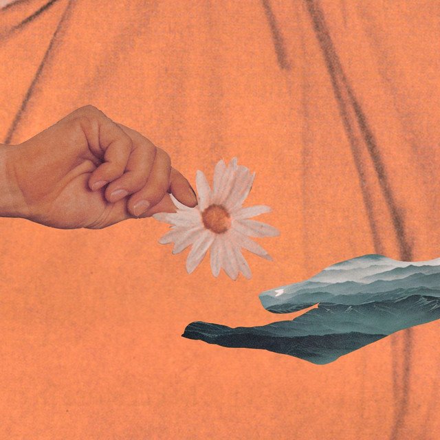 Wild Getting Started song cover